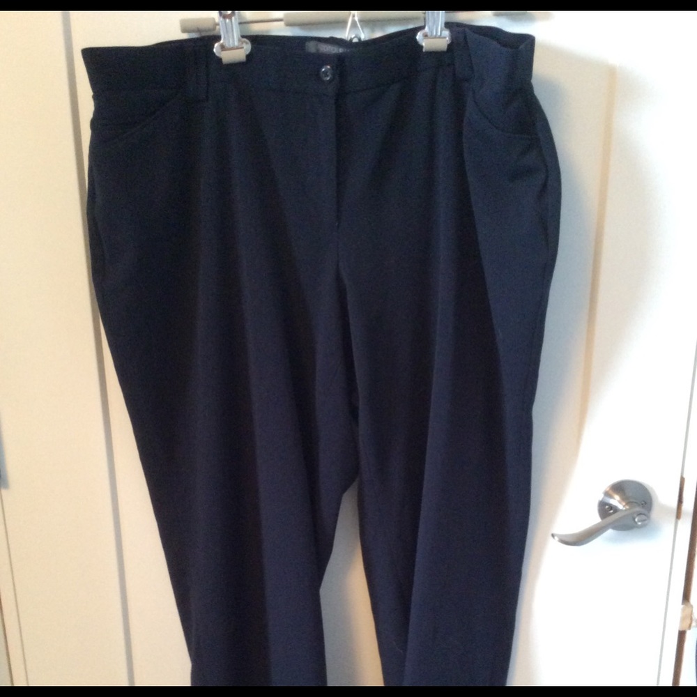 Women’s Plus Petite Dress pant